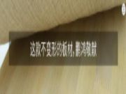 鹏鸿年鉴 ② | 造物有道，新品研创以质取胜