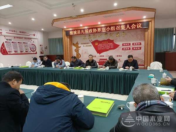 深入交流 柳城县政协主席一行莅临鹏森缘木业产业园参观考察