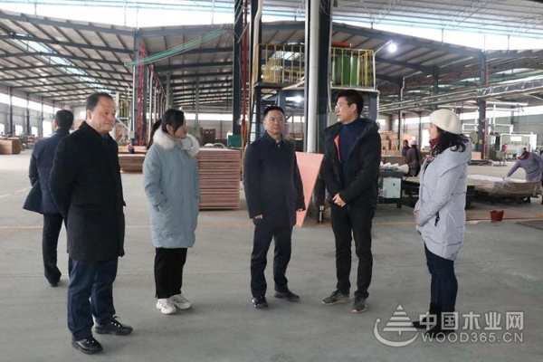 广西壮族自治区应急厅副厅长黄中连率队调研桥牌鹿寨生产基地