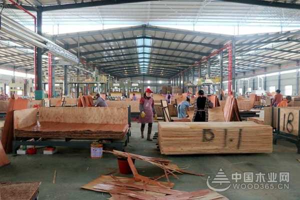 广西壮族自治区应急厅副厅长黄中连率队调研桥牌鹿寨生产基地