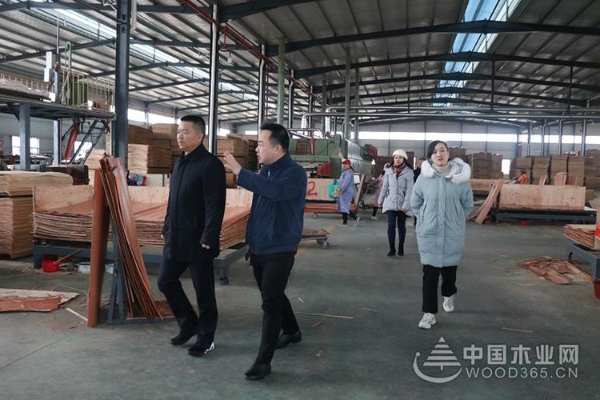 广西壮族自治区应急厅副厅长黄中连率队调研桥牌鹿寨生产基地