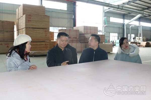 广西壮族自治区应急厅副厅长黄中连率队调研桥牌鹿寨生产基地