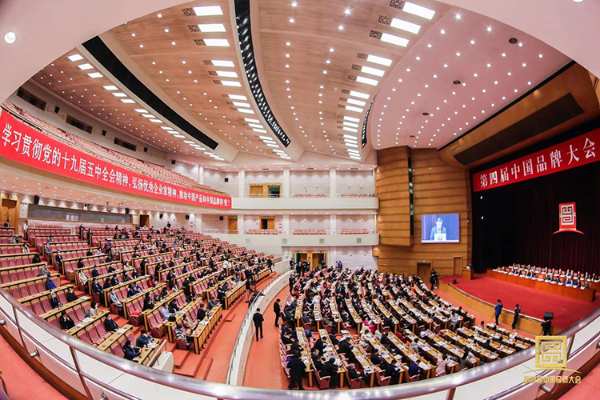行稳致远，坚韧前行|壮象木业荣获“中国行业领军品牌”和“中国消费者放心品牌”两项大奖！