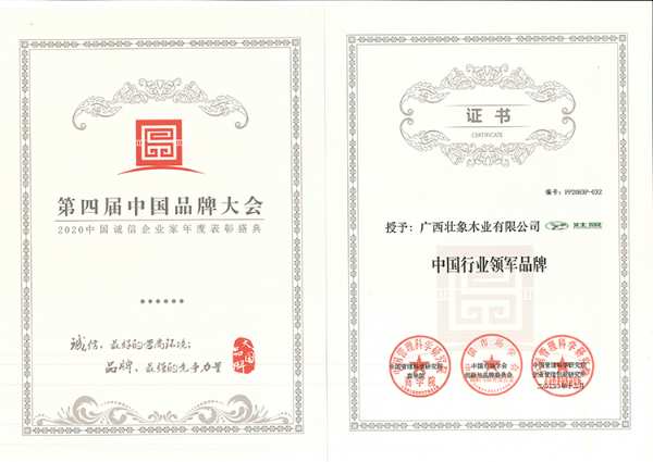 行稳致远，坚韧前行|壮象木业荣获“中国行业领军品牌”和“中国消费者放心品牌”两项大奖！