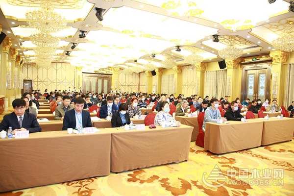 十大生态板品牌|壮象董事长叶新忠当选中国林学会杉木专业委员会常务委员