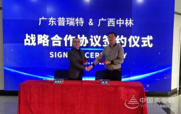 奠基础蓄能量 广西中林装饰材料再利其器