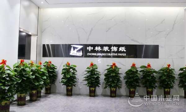奠基础蓄能量 广西中林装饰材料再利其器