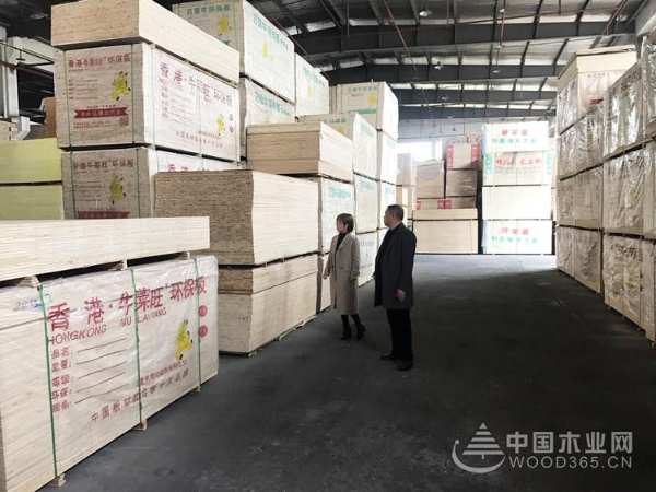 牛莱旺董事长陈明强：产品不断升级 为消费者打造无醛家居