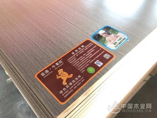 牛莱旺董事长陈明强：产品不断升级 为消费者打造无醛家居
