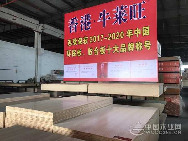 牛莱旺董事长陈明强：产品不断升级 为消费者打造无醛家居