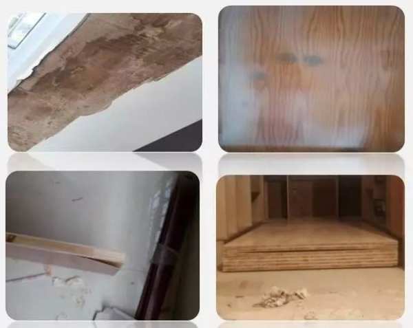 兔宝宝装修板材为您解答板材常见问题