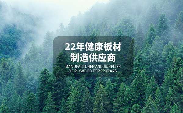千山板材：在通往优质产品的路上不断求索