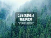 千山板材：在通往优质产品的路上不断求索