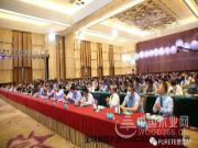 2020全球饰面板大会，付秋霞分享EB电子束技术的原理及应用