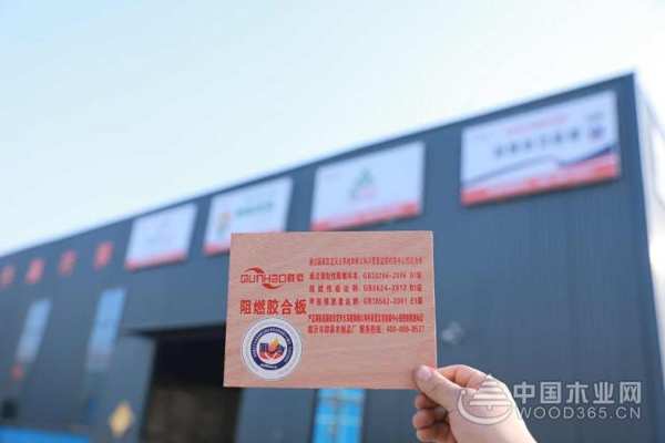 十年深耕细作 群豪木业谱写高质量发展辉煌篇章