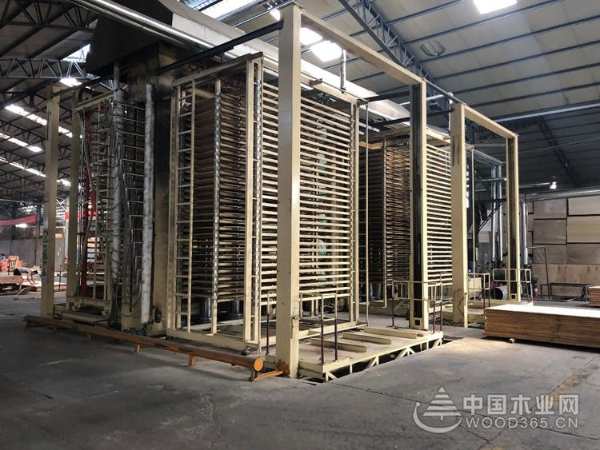 十年深耕细作 群豪木业谱写高质量发展辉煌篇章