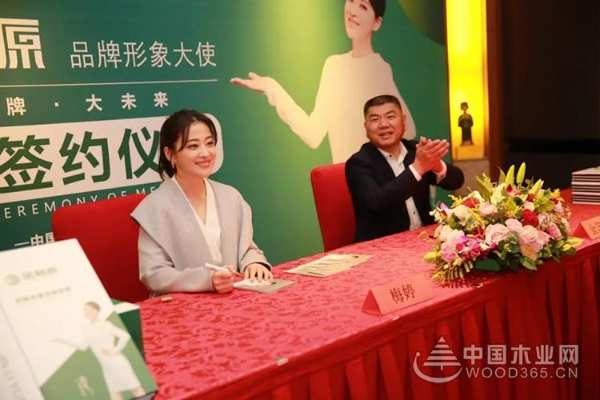 正式官宣︱影视巨星梅婷成为金利源品牌形象大使