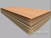 鹏鸿板材简史之三 | 厚积薄发的“生态板”