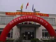 鹏鸿板材简史之二 | 承前启后的“防火板”