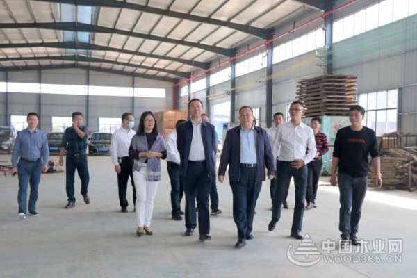 广西林业局领导莅临桥牌木业开展现场调研