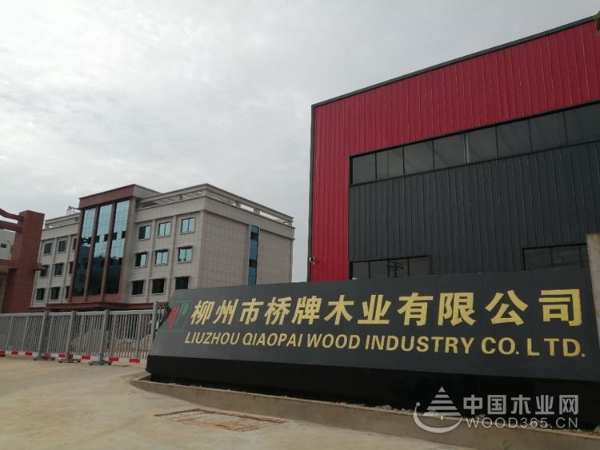 广西林业局领导莅临桥牌木业开展现场调研
