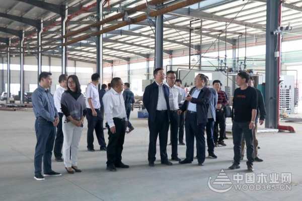 广西林业局领导莅临桥牌木业开展现场调研