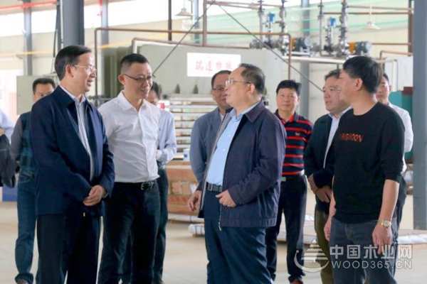 广西林业局领导莅临桥牌木业开展现场调研