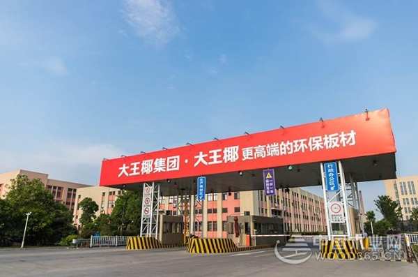 乘风破浪！大王椰再启品牌战略升级新征程