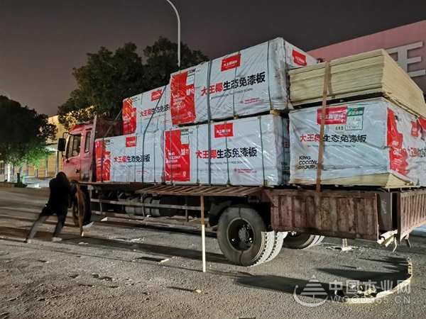 乘风破浪！大王椰再启品牌战略升级新征程