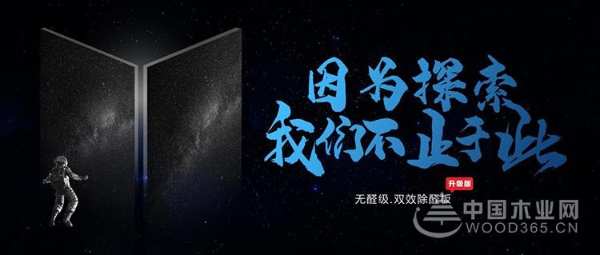 乘风破浪！大王椰再启品牌战略升级新征程