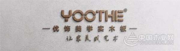 山东卓远装饰材料有限公司荣获“2019年度板材优秀制造企业”