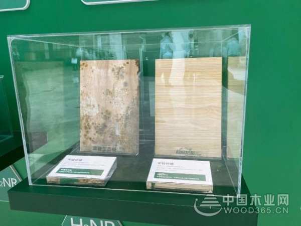 “为家保健康，我有双重防护罩”2020兔宝宝除醛抗菌板新品发布会