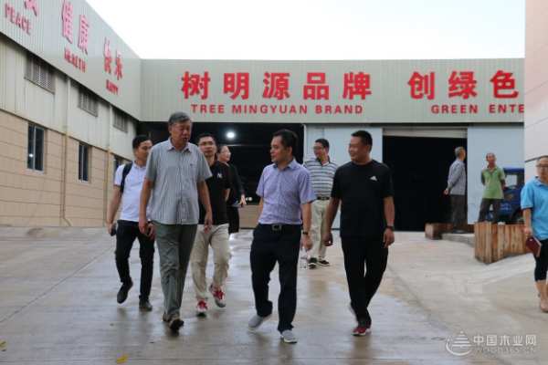 明源资讯丨业内大拿叶克林院士一行莅临明源木业进行指导