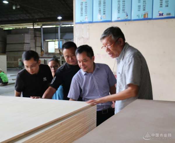 明源资讯丨业内大拿叶克林院士一行莅临明源木业进行指导