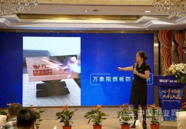 心手相伴·共利共赢丨热烈祝贺旺德府集团2020年度产品推介及VIP精英答谢会圆满成功！
