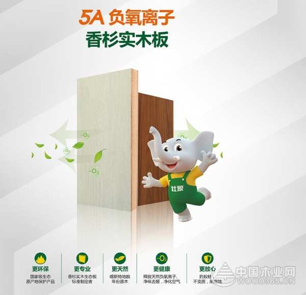 荣誉见证实力！壮象再夺金匠榜两座重磅奖杯！