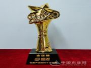 荣誉加持 桂湖木业斩获金匠榜“创新产品板材十大品牌”