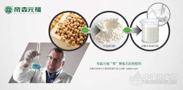 帝森元福 “零”醛芯材榫卯结构生态板上市