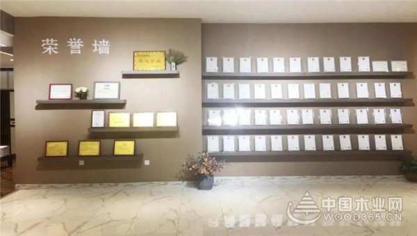 荣誉|优饰再次荣获板材十大品牌殊荣