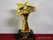 深耕市场 明源木业一举斩获金匠榜“环保板材十大品牌”荣耀！