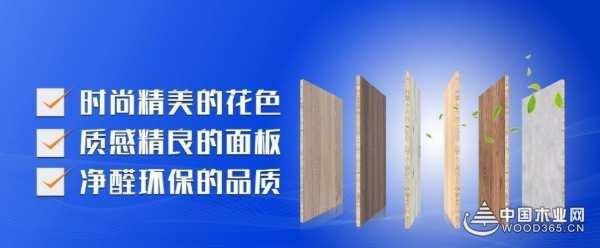 实力“亮剑” 诺比森林斩获四项金匠榜重量级大奖