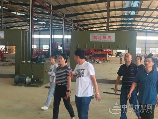 鹿寨县委领导一行莅临桥牌木业调研鹿寨生产基地进程等工作