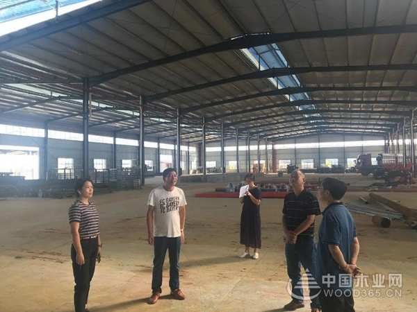 鹿寨县委领导一行莅临桥牌木业调研鹿寨生产基地进程等工作