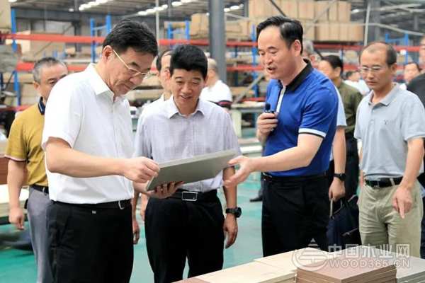 徐州市市场监督管理局领导莅临德鲁尼调研指导“徐州市市长质量奖”获奖企业工作