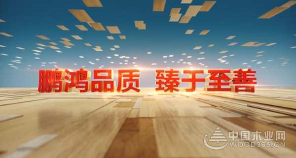 大片来袭 | 鹏鸿木业集团2020年度宣传片震撼发布