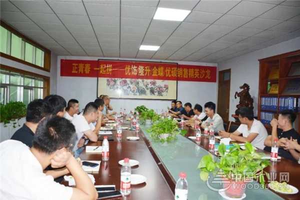 “正青春，一起拼”--优饰/隆升/金蝶/优硕销售精英沙龙