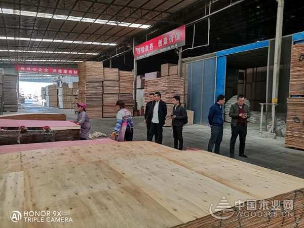 明源木业：精工巧匠孕育精品 卓越品质抒写辉煌