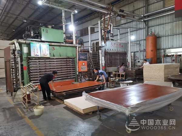 明源木业：精工巧匠孕育精品 卓越品质抒写辉煌