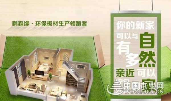 向党献礼 | 鹏森缘不忘初心，一直为环保奋斗！