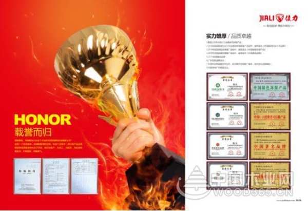 优才招募|佳力板材衣柜“城市伙伴”等你携手同行